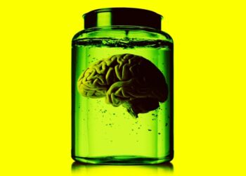Lab-Grown Brains Growing More Powerful