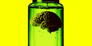 Lab-Grown Brains Growing More Powerful