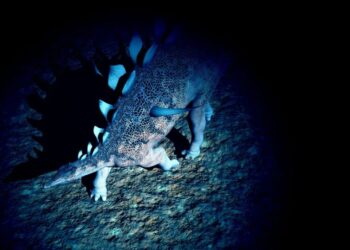 This Is How Big a Telescope Aliens Would Need to See Dinosaurs on Earth