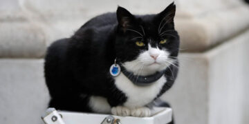 Palmerston, the Former ‘Chief Mouser’ for Britain’s Foreign Office, Dies