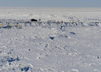 Lake Erie’s Storm Surges Become More Extreme