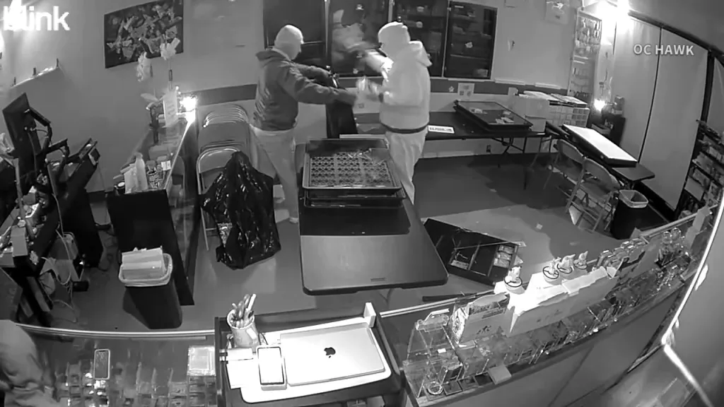 Two thieves in hoodies stealing items from a shop, captured on surveillance video.
