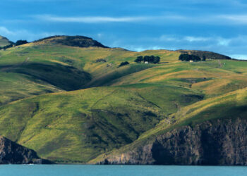 We’re Back on Land in New Zealand