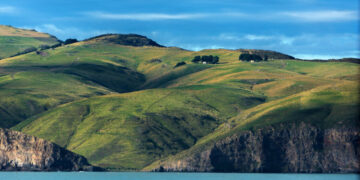 We’re Back on Land in New Zealand