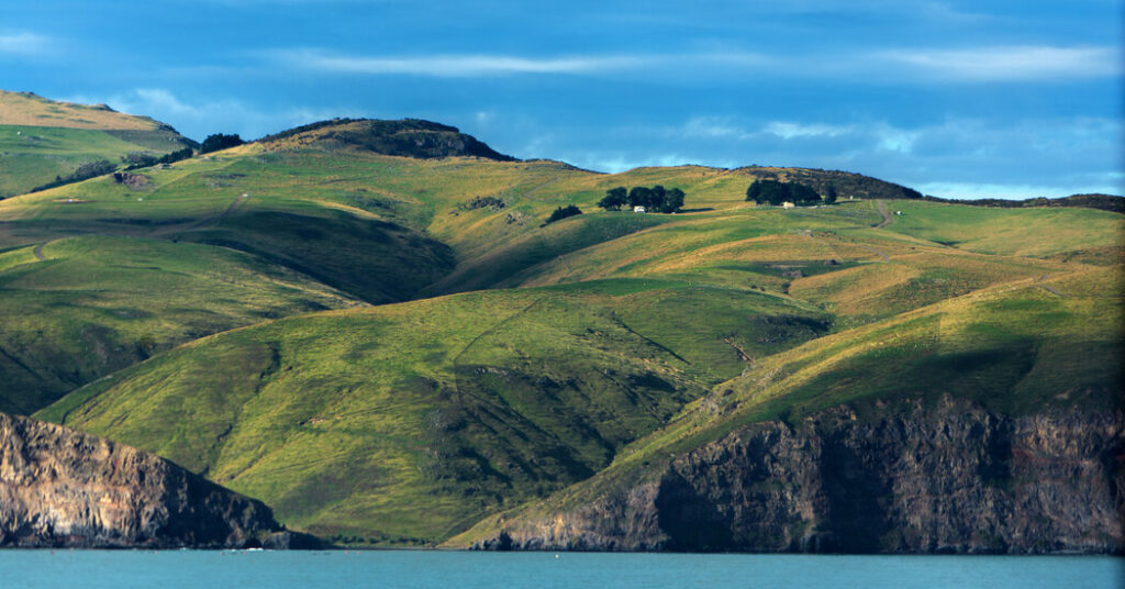 We’re Back on Land in New Zealand