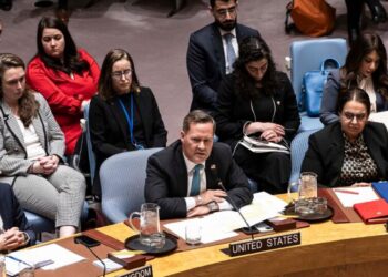U.N. Security Council Meets on Gaza, a Day Before Board of Peace Gathering