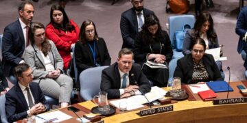 U.N. Security Council Meets on Gaza, a Day Before Board of Peace Gathering