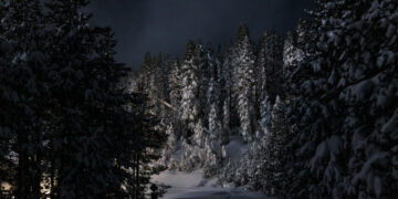 Multiple Victims Had Ties to Ski Resort School Near the Avalanche Site