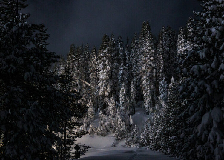 Multiple Victims Had Ties to Ski Resort School Near the Avalanche Site