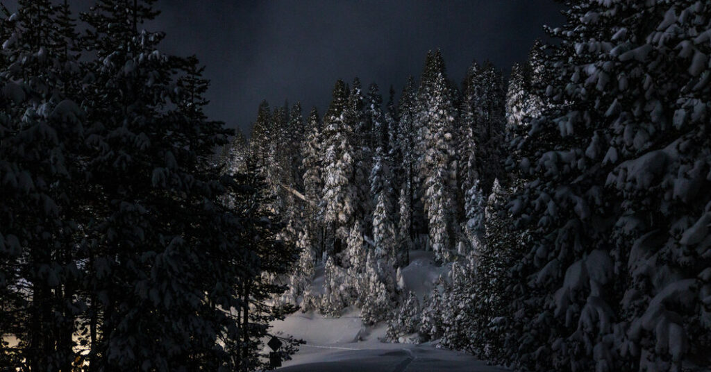 Multiple Victims Had Ties to Ski Resort School Near the Avalanche Site