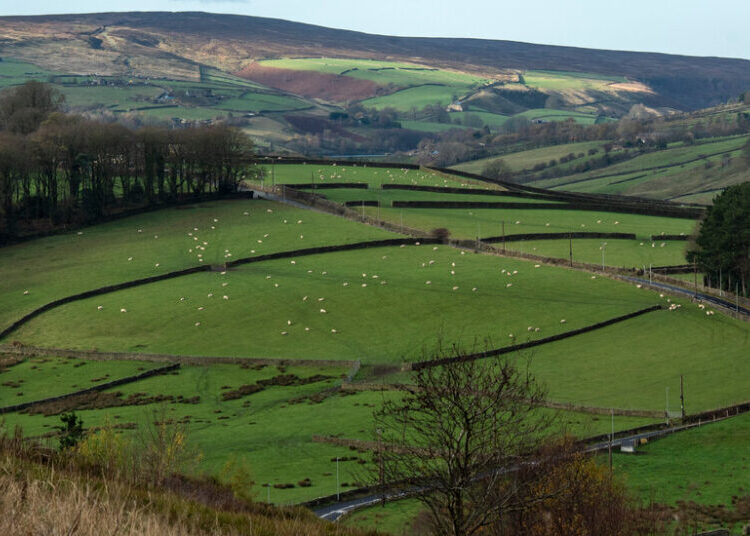 What Brontë Country Tells Us About Britain Today