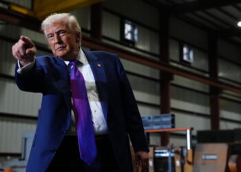 Trump Has a Head-Spinning Day, but Republicans Want Him to Focus