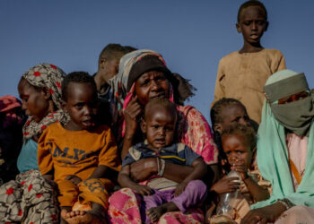 Assault on Sudanese City Bore ‘Hallmarks of Genocide,’ U.N. Finds