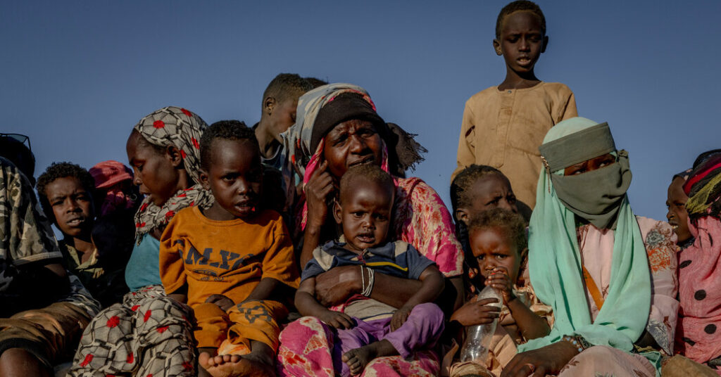 Assault on Sudanese City Bore ‘Hallmarks of Genocide,’ U.N. Finds