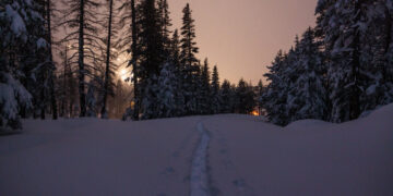 Two Sisters and Their Friends Died in Avalanche During Sierra Nevada Trek