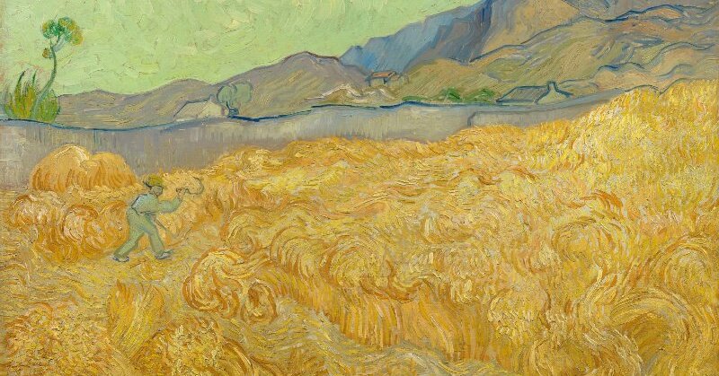 Van Gogh and the Meaning of Yellow