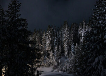 Recovery Efforts After Tahoe Avalanche Face More Heavy Snow