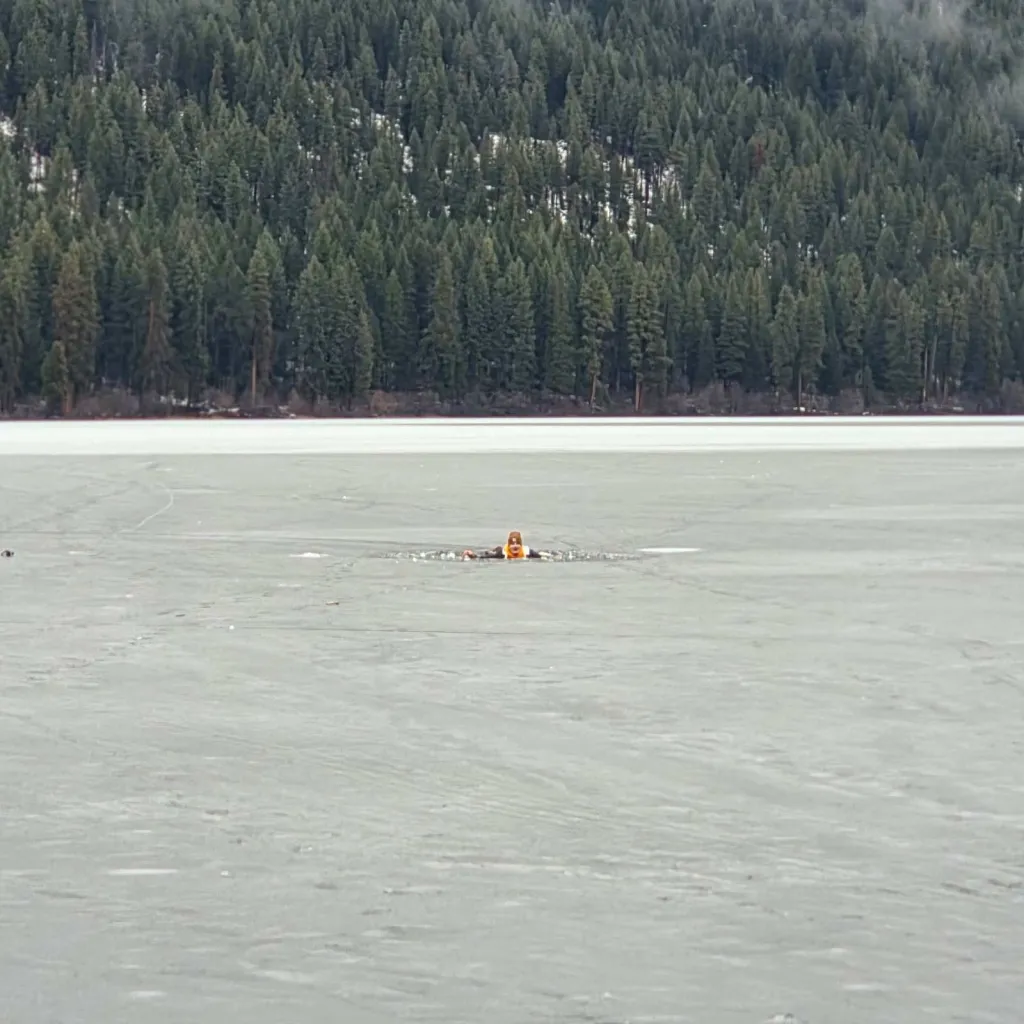 An individual wearing an orange life vest and a brown hood is in an ice hole in a frozen lake, with a forest in the background.