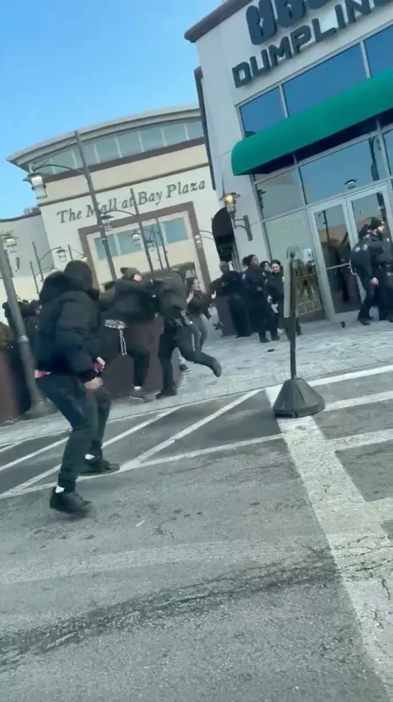 Young teens fighting with police outside The Mall at Bay Plaza in Bronx, NY.