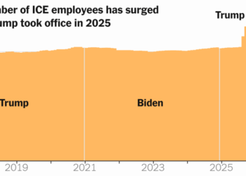 ICE Hired Thousands While the Rest of the Immigration System Shrank