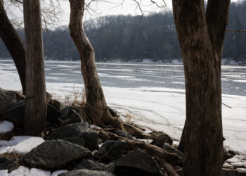 Trump fixates on sewage, a favored talking point, in fight with Wes Moore