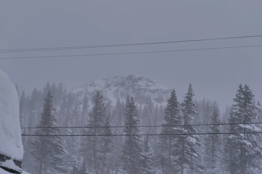 Snow-covered pine trees and a mountain in a snowy Tahoe avalanche area.