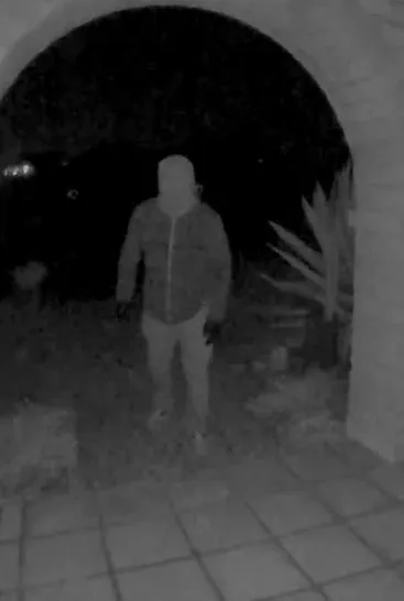 Surveillance image of a suspect in the disappearance of Nancy Guthrie.