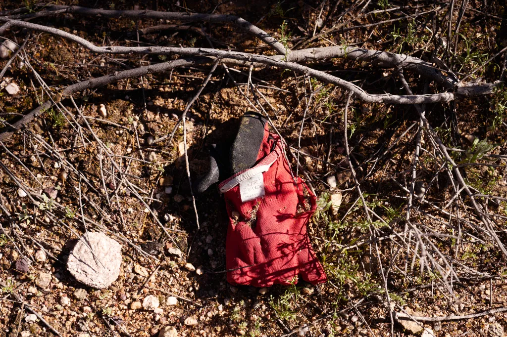 A discarded red glove with a white tag and black palm, lying on dry, rocky ground covered with twigs and sparse green sprouts.