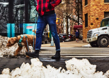Dog Poop Wars: In New York, the Snow Is Foul, and So Is the Discourse