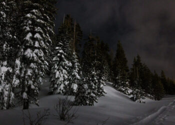 These Skiers Cleared Out as Group That Would Be Hit by Avalanche Arrived