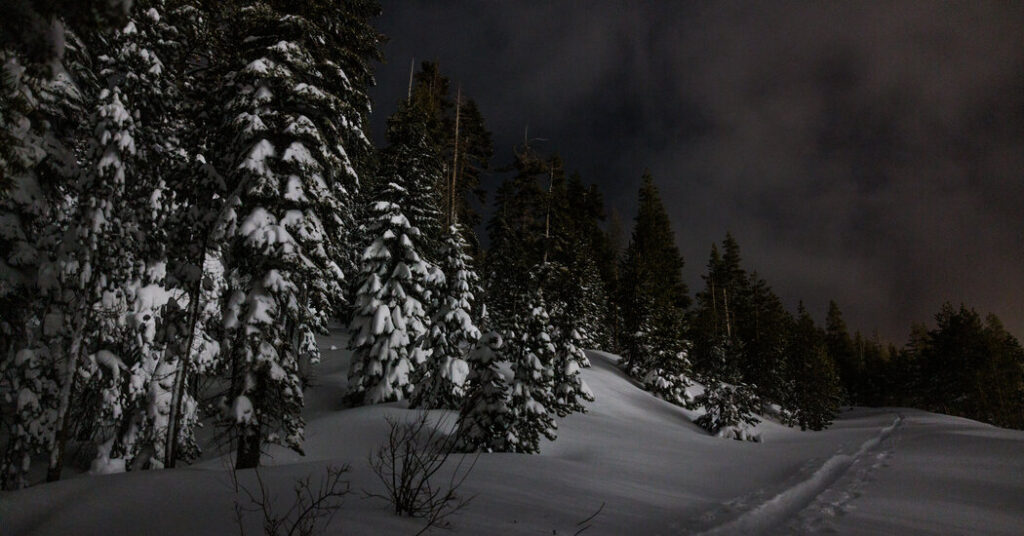 These Skiers Cleared Out as Group That Would Be Hit by Avalanche Arrived