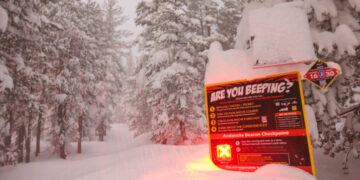 As Inquiries Begin in Avalanche Deaths, a Question Emerges: Was Anyone at Fault?