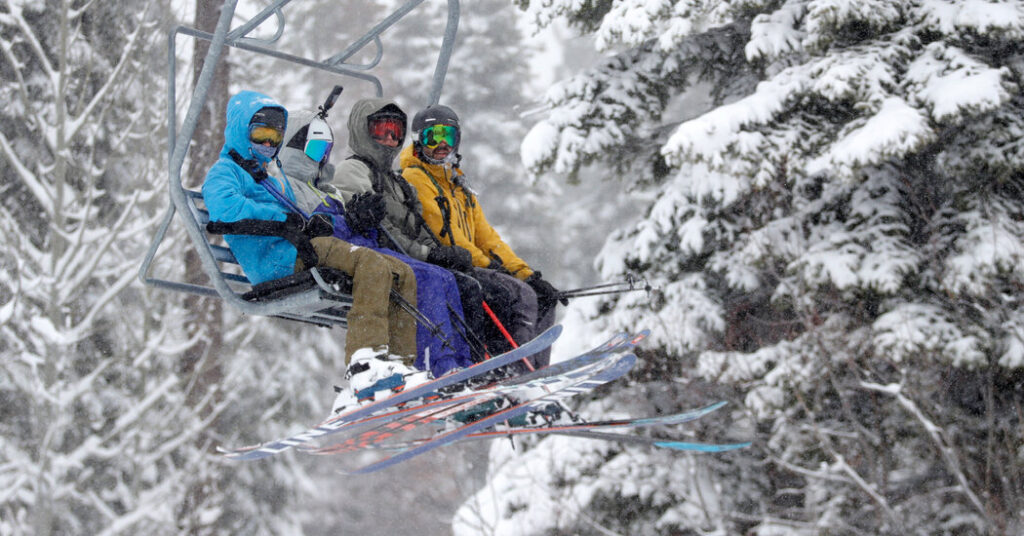 San José State Graduate Who Went Skiing Is Found Dead in Tree Well