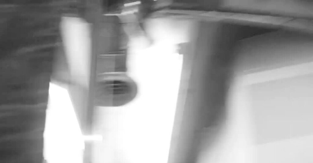 Is There Anything Lisa Rinna Won’t Say?