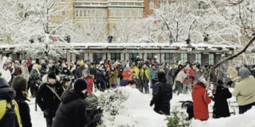 What the Snowstorm Looked Like Across the Northeast
