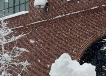 Scenes From New York City’s First Real Snow Day in Years