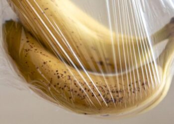 Plastic, Plastic Everywhere