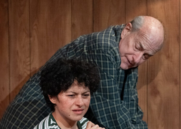 Review: ‘You Got Older,’ With Alia Shawkat, Gets a Sharp Revival