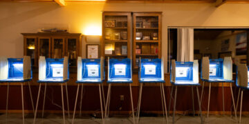 Trump Leans on Congress to Address His False Claims of Voter Fraud