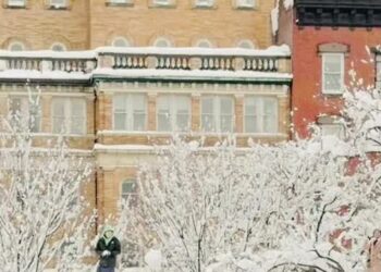 Snowball Fight in New York Turns Chaotic After Police Arrive
