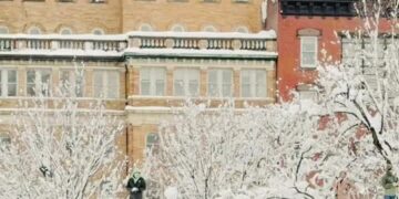 Snowball Fight in New York Turns Chaotic After Police Arrive