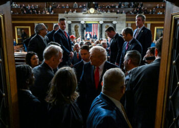 ‘Stand Up’: With One Maneuver, Trump Tries to Box In Democrats