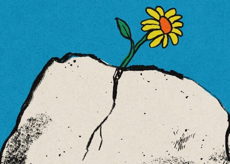 The Great Capitulation Is Over. What Comes Next?