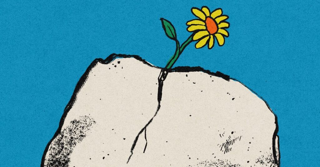 The Great Capitulation Is Over. What Comes Next?