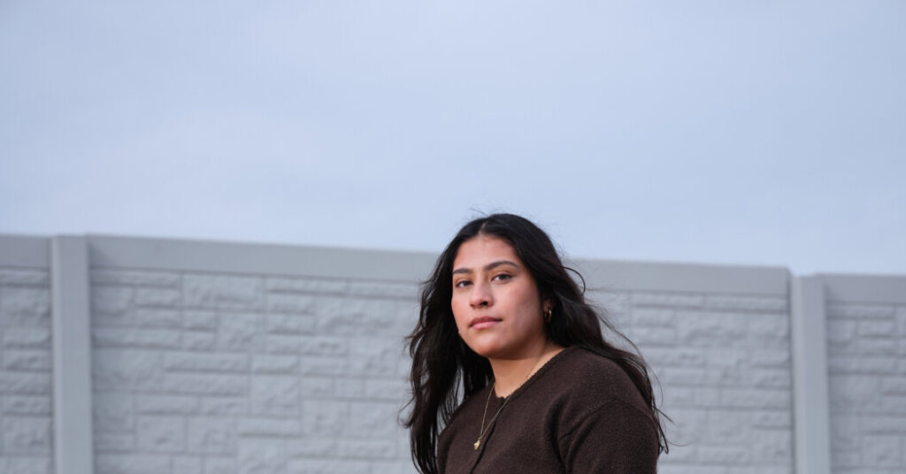 The Birthrate Is Plunging. Why Some Say That’s a Good Thing.