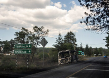 ‘You Accept the Risk and the Fear’: What It Takes to Report on the Mexican Cartels