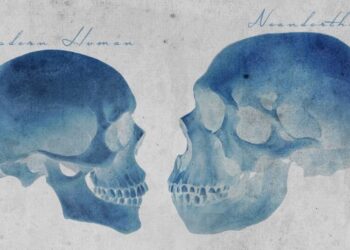 What Your DNA Reveals About the Sex Life of Neanderthals