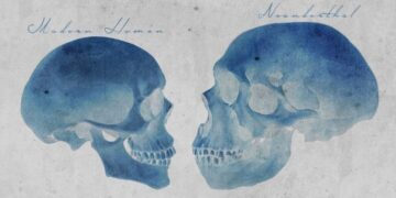 What Your DNA Reveals About the Sex Life of Neanderthals