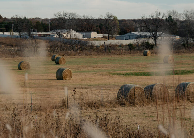 N.Y. Man With China Ties Charged With Marijuana Trafficking in Oklahoma