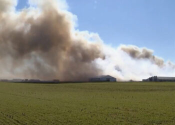 6,000 Hogs Killed in Fire at Ohio Farm
